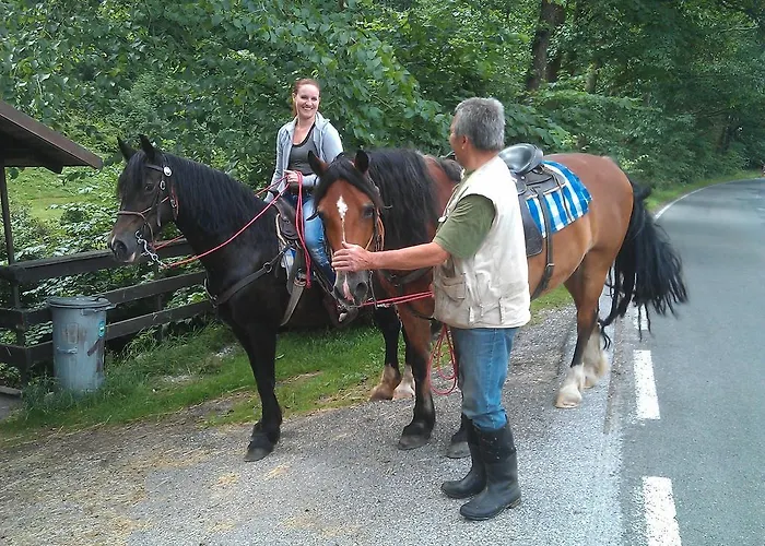 Horsky Gendorf Гостевой дом 3*